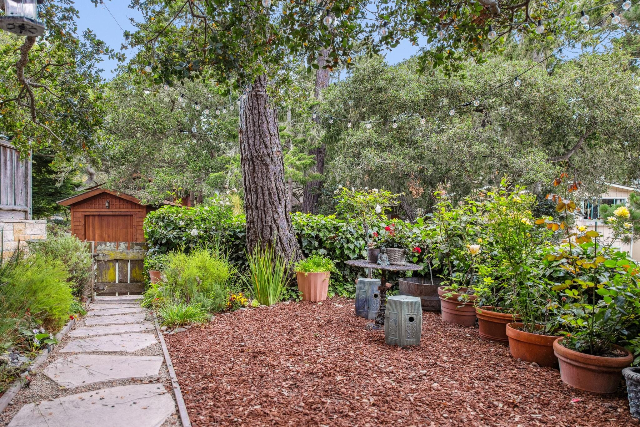 Lush rear garden with mature trees, string lights, stone path, and potted roses in Carmel-by-the-Sea.