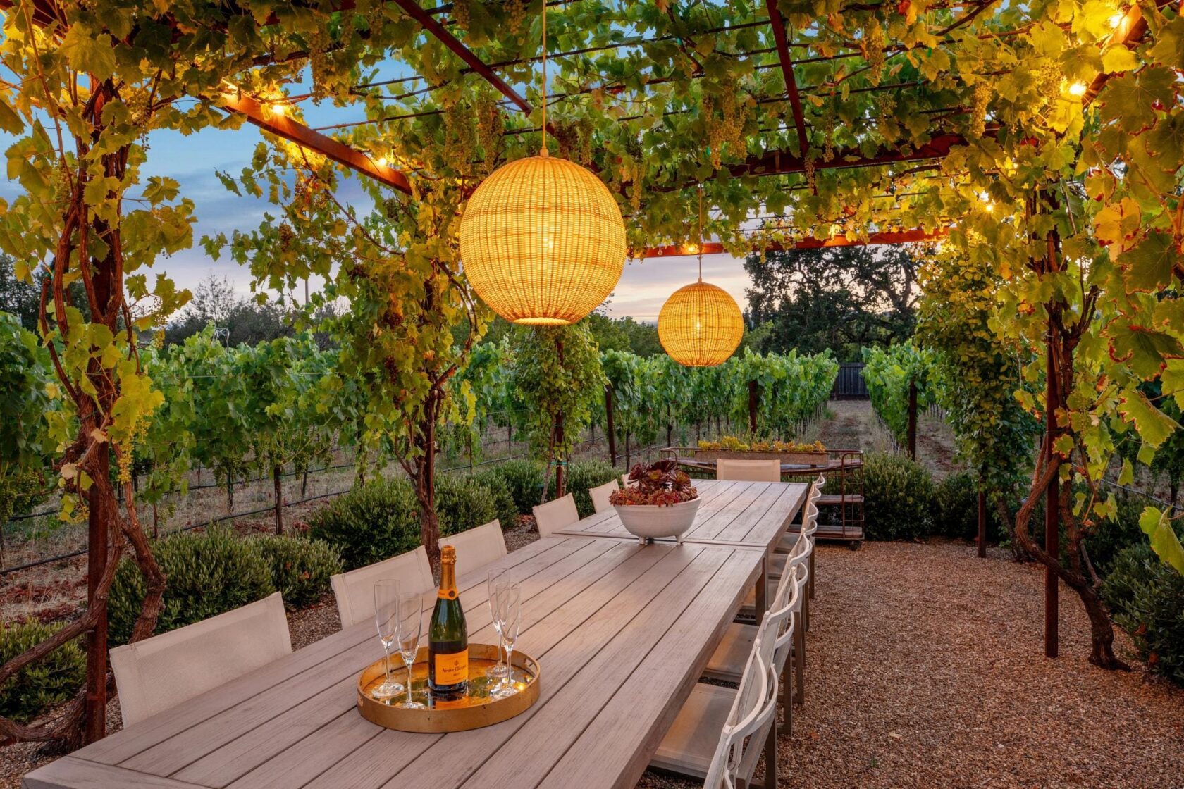 Outdoor dining table under a grapevine trellis with lanterns and string lights on at twilight
