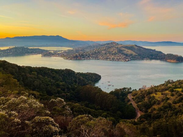 What is the difference between Belvedere and Tiburon, and what is Belvedere-Tiburon?
