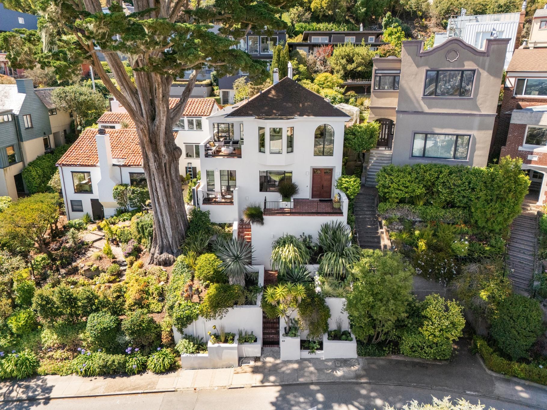 Aerial daytime photograph of 70 Graystone Terrace in San Francisco, showing a white stucco Mediterranean home surrounded by a large cypress tree, terraced gardens, and layered plantings, with the surrounding neighborhood visible.