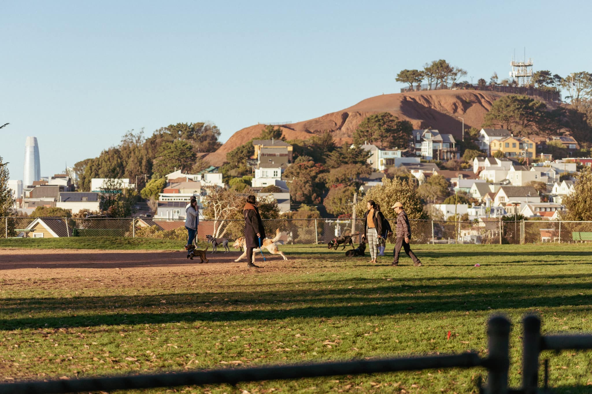 Neighborhood Spotlight Bernal Heights, San Francisco Open Homes