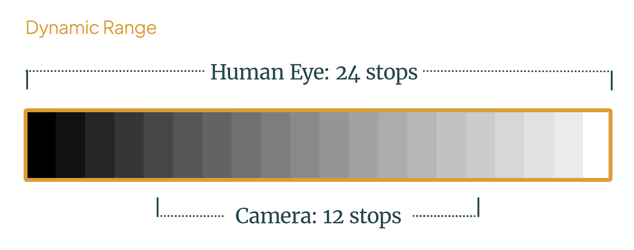 Dynamic Range Illustration