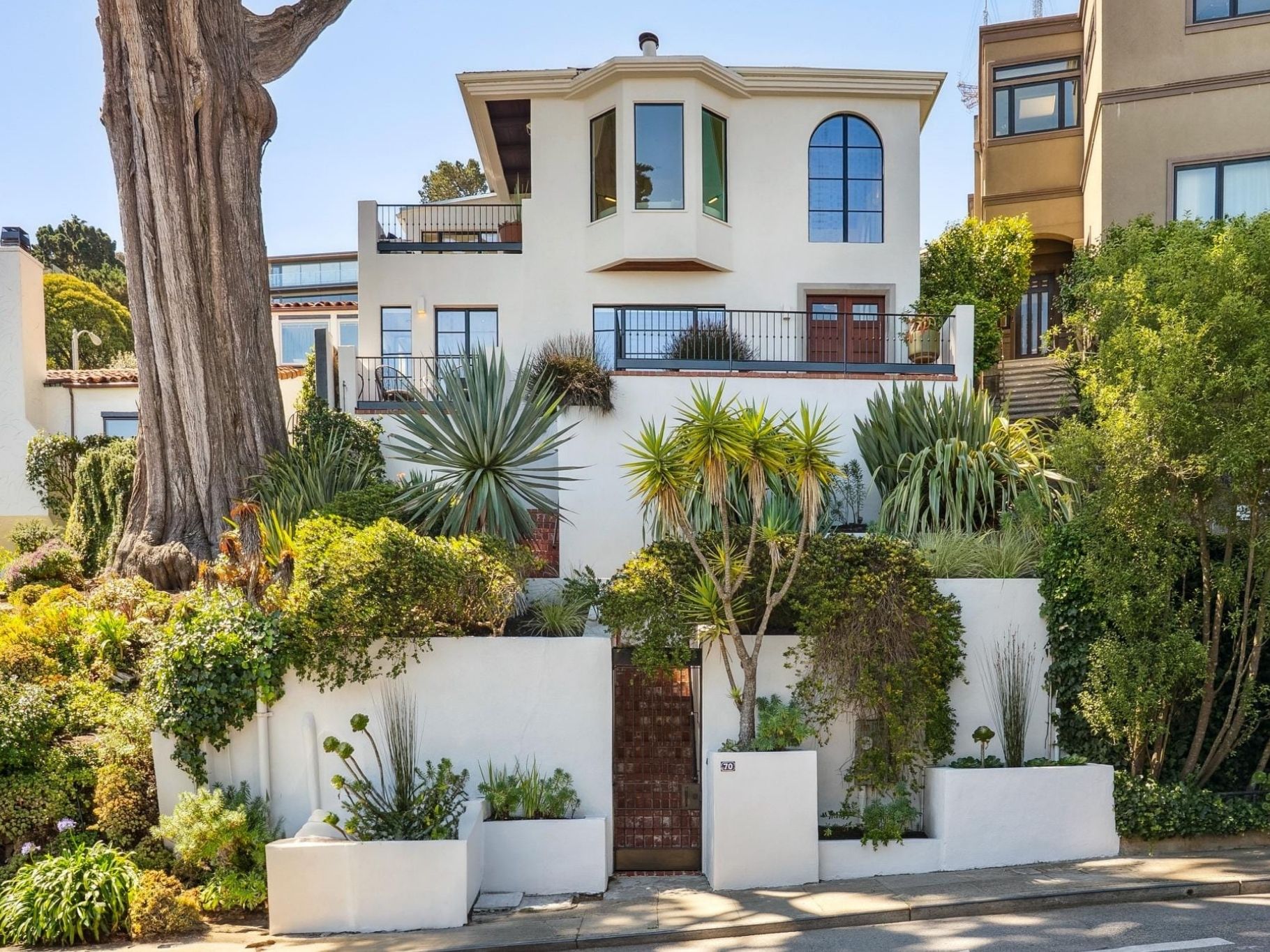 Daytime ground-level exterior photograph of 70 Graystone Terrace in San Francisco, showing a white stucco multi-level home with terraced white planter walls, succulent landscaping, and a large cypress tree to the left.