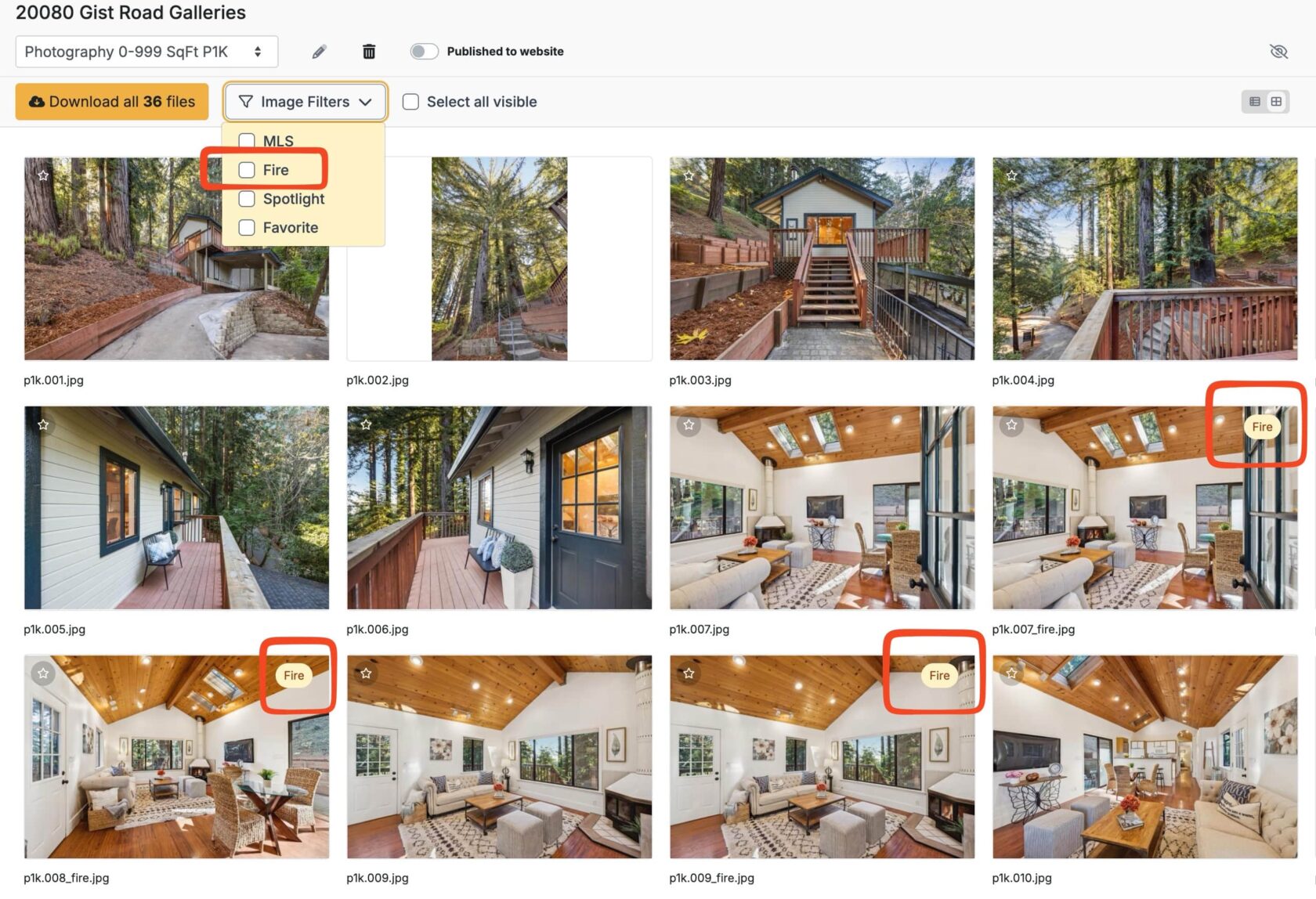 Media Manager altered image fire example